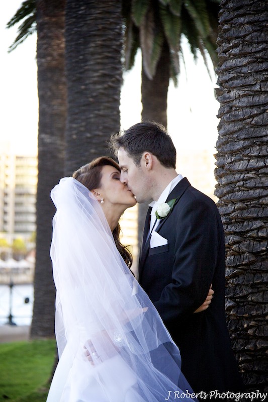 Bride and groom kissing under palm trees The Rocks w Circular Quay behind - wedding photography sydney